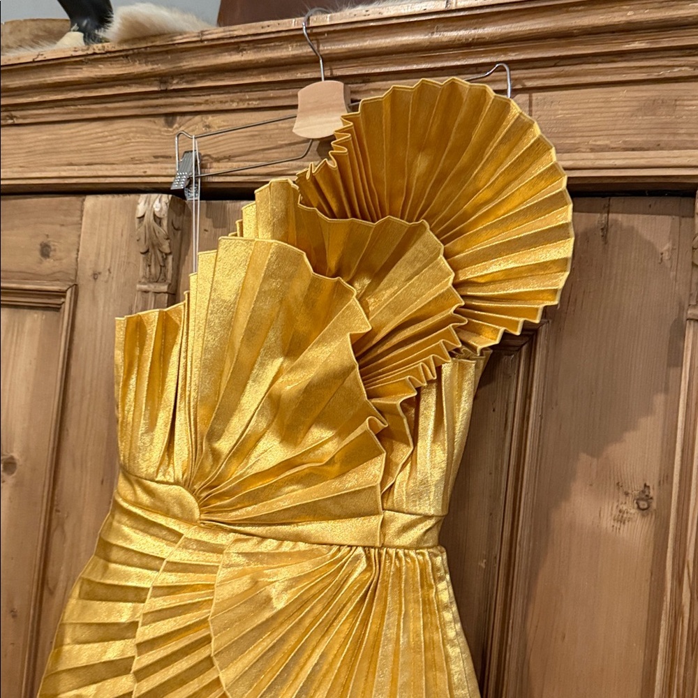 Acler Pleated Mini Dress - Picture 5 of 11
